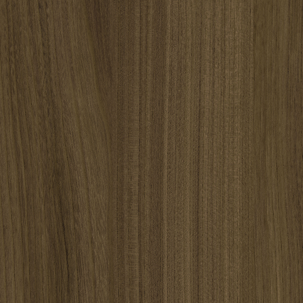 TAR-021 Criollo Elm