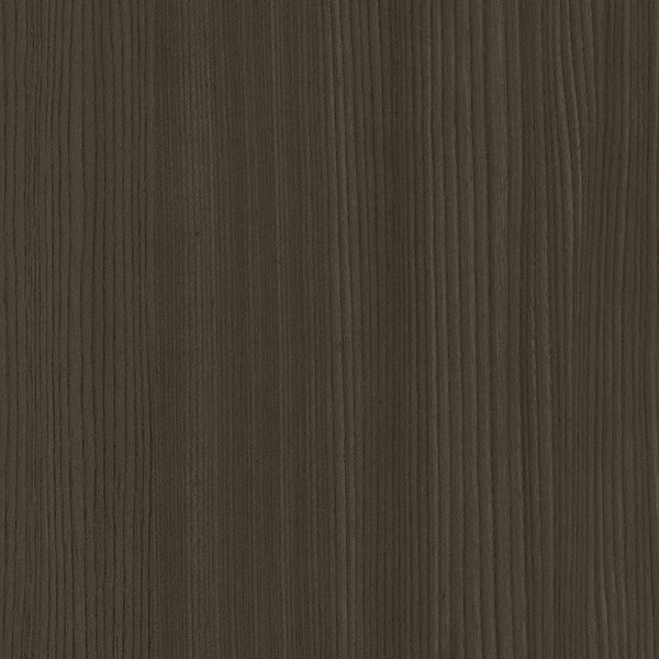 TAR-775 Carina Elm D